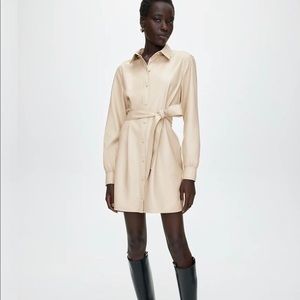Aritzia Caroline Leather Dress